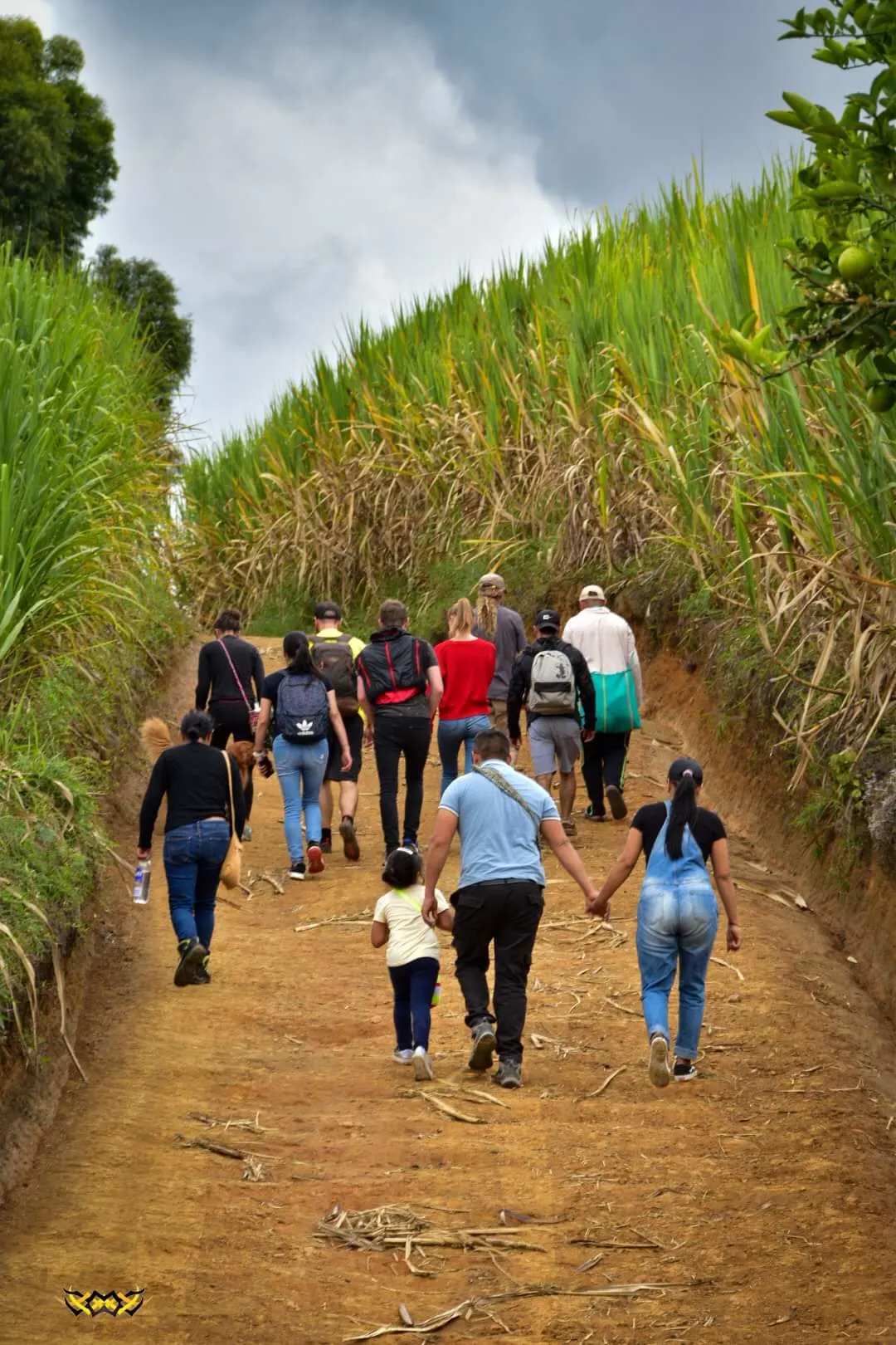 Camino de las Entidades – Planes en San Agustín, Huila · foto 1