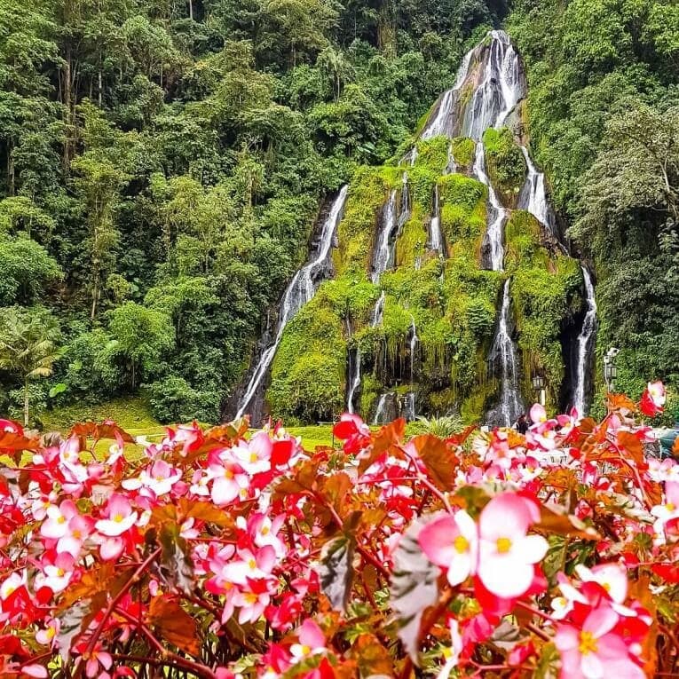 Fin de Año en el Eje Cafetero 5 Días / 4 Noches Terrestre desde Bogotá ☕🎆 – Paquete Turístico en Montenegro, Quindío · foto 1
