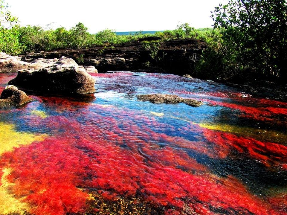 Caño Cristales plan 3 días 2 noches desde Bogotá – Paquete Turístico en La Macarena, Meta · foto 1