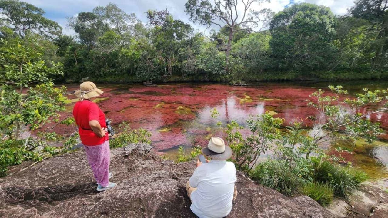 Caño Cristales plan 3 días 2 noches desde Medellín – Paquete Turístico en La Macarena, Meta · foto 1
