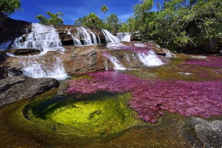Caño Cristales plan 4 días 3 noches desde Medellín – Paquete Turístico en La Macarena, Meta · foto 1