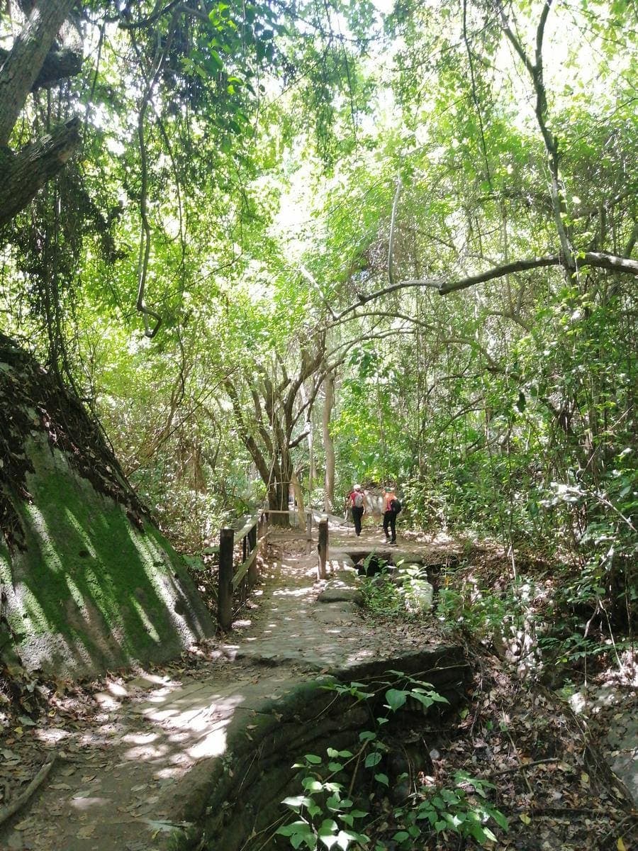 Parque Tayrona Sector Bahía Concha – Actividades en Santa Marta, Magdalena · foto 1