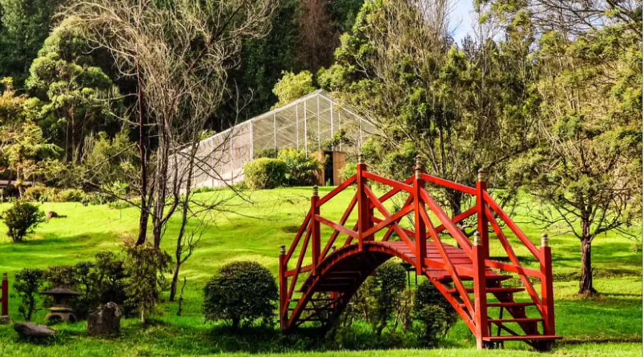 Tour ecoturístico, visita al bosque de niebla y casa de colibríes en el Recinto del Pensamiento en Manizales – Parques Temáticos en Manizales, Caldas · foto 1