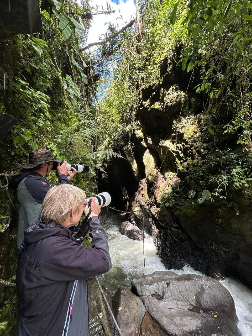 Santuario Secreto: Aviturismo en Jardín y la Cueva de los Guácharos – Planes en Jardín, Antioquia · foto 1