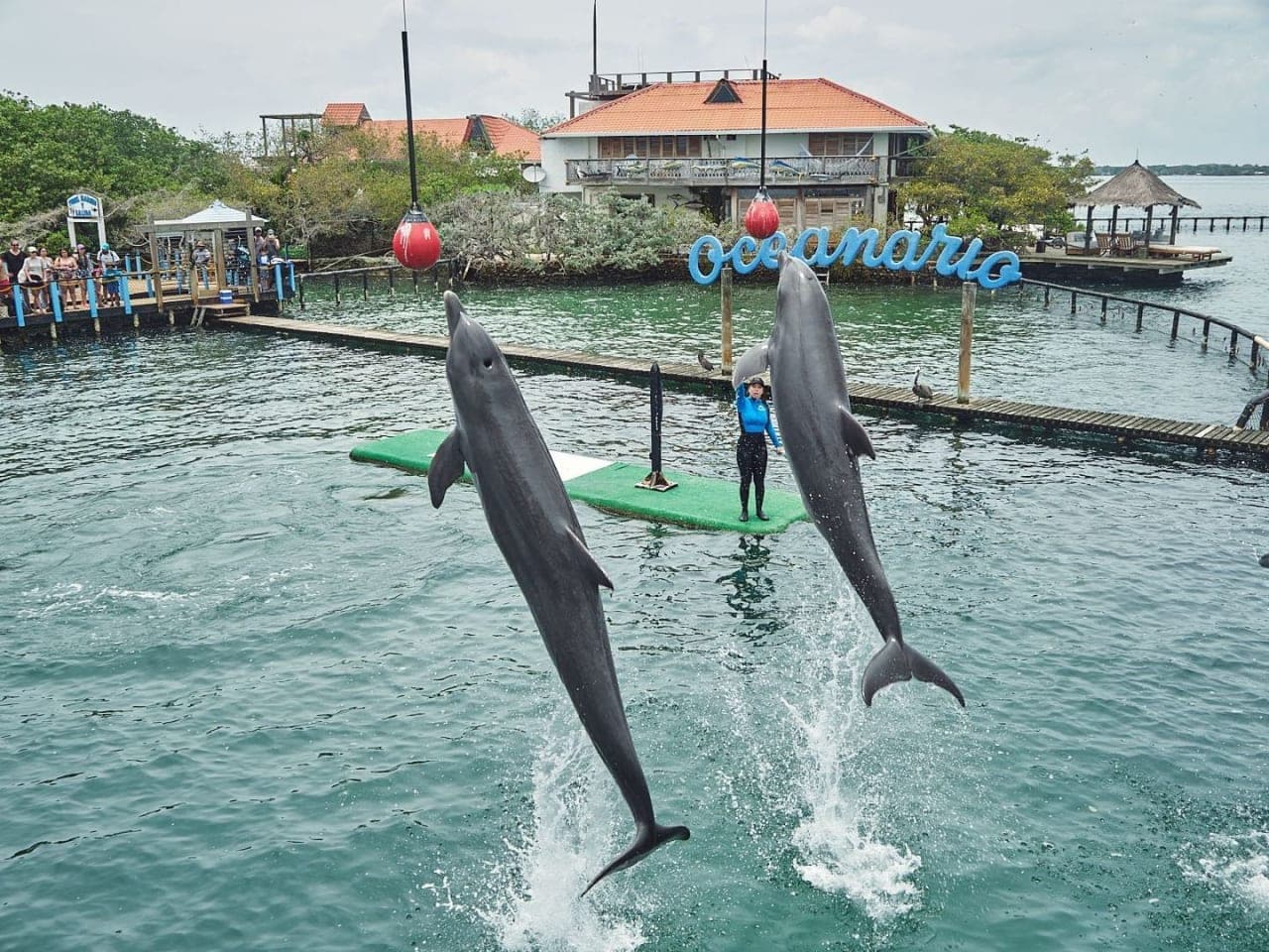 Cartagena Family plan: Acuario + mapaches + snorkeling. – Actividades en Cartagena de Indias, Bolívar · foto 1