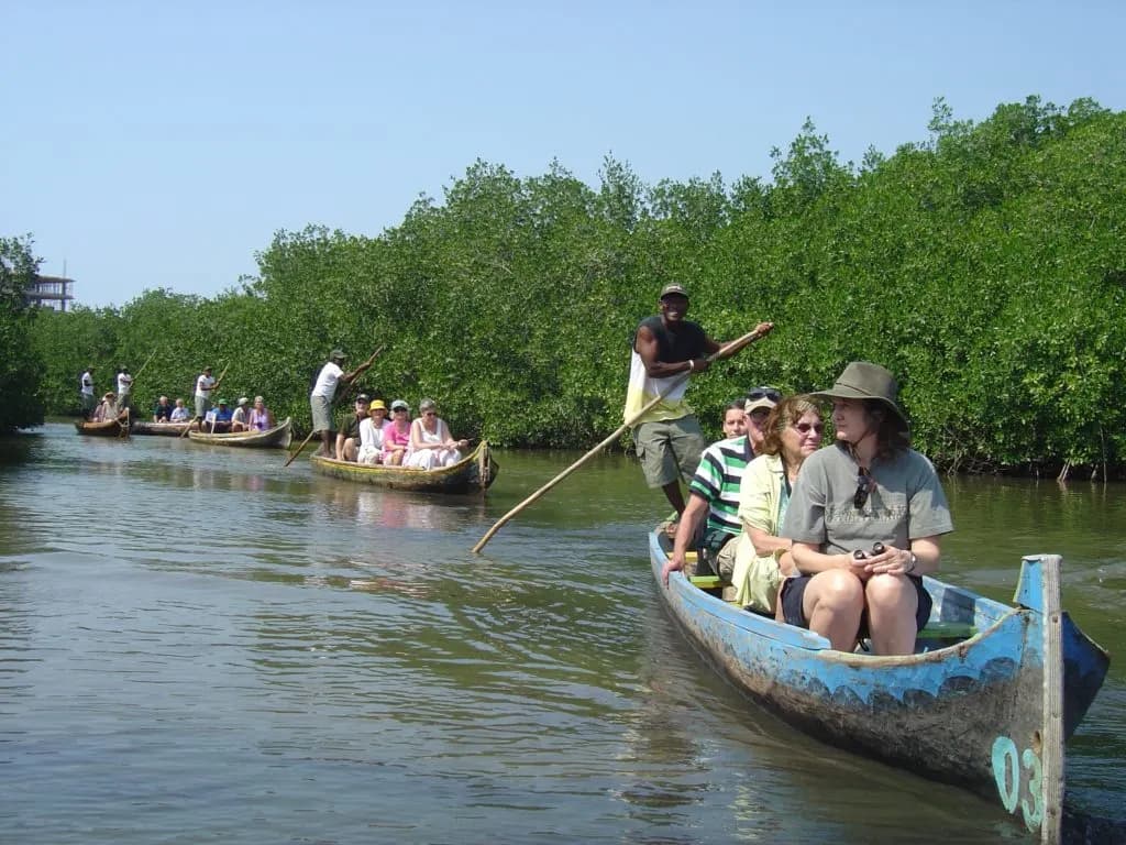 Ecotour por los manglares de la Boquilla de Cartagena. – Actividades en Cartagena de Indias, Bolívar · foto 1